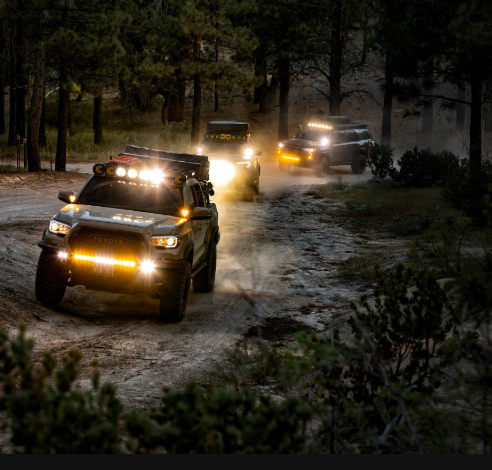 Camp Lights