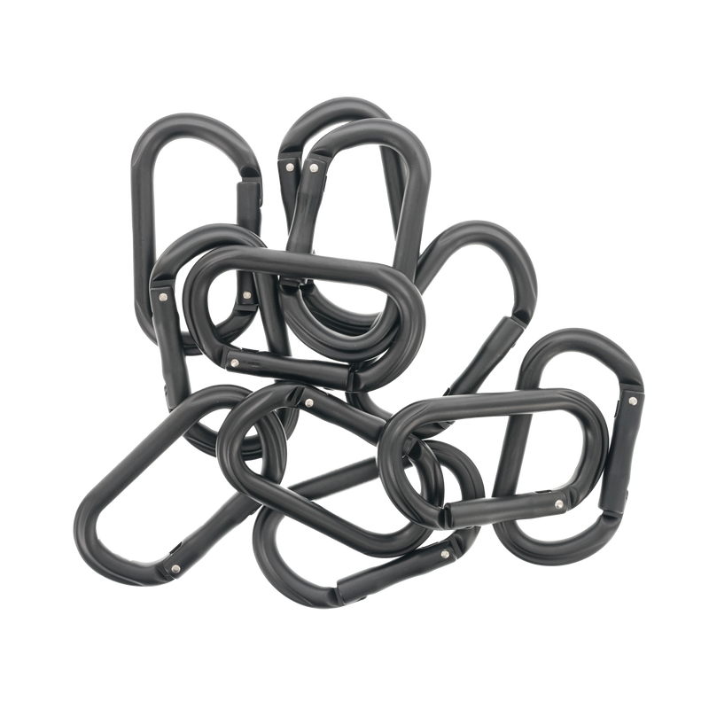 Rollercam Carabiner (Pack of 1)